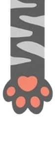 Dog hand