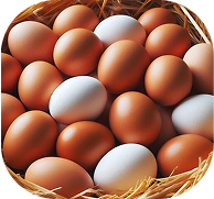 Safe Food Icon