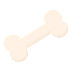 Activity Image