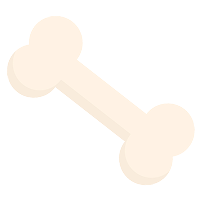 Activity Image