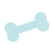 Bone Image