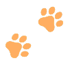 Catdog
