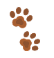 Paw