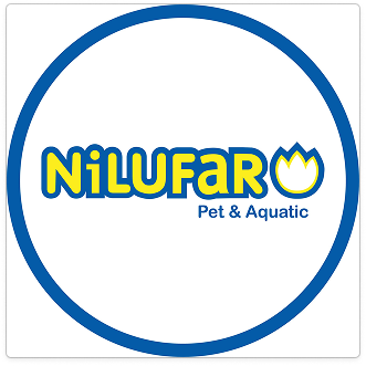 Nilufar
