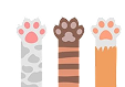 cat Hand 1