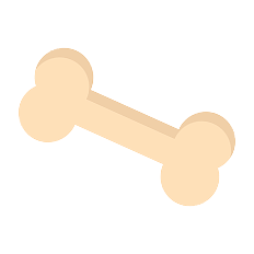 bone