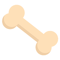 bone