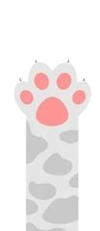 bone