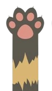 paw